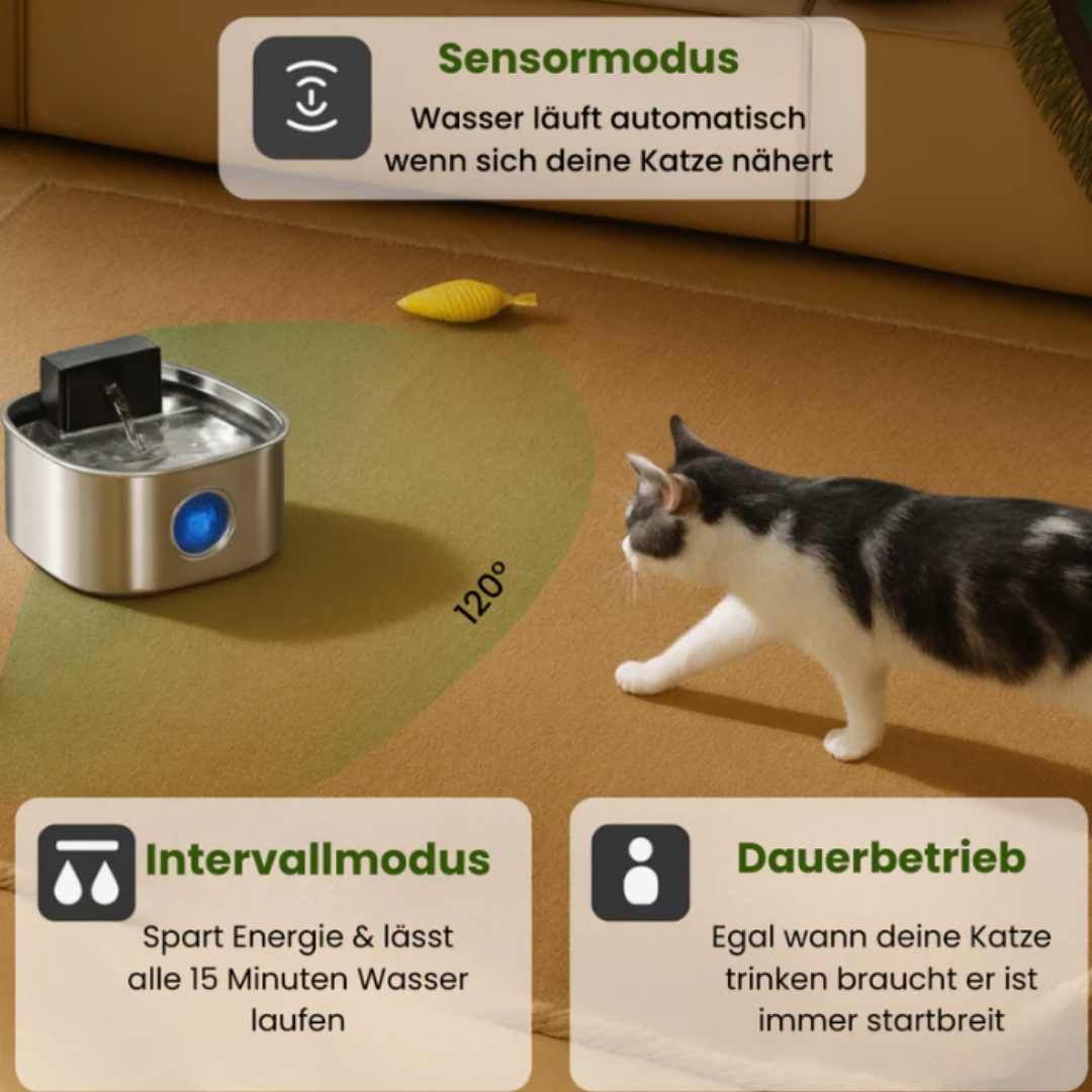 HydroPet – Gewinner des PetCare Design Awards 2025