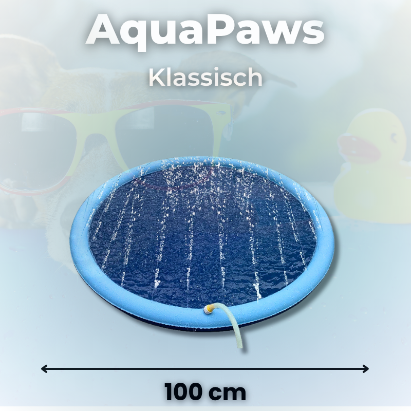 AquaPaws – Der Hundepool mit Fontäne