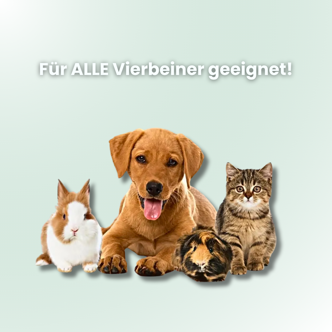 PawCleaner 100ml - Ausgzeichnet als Fellpflege-Innovation 2025
