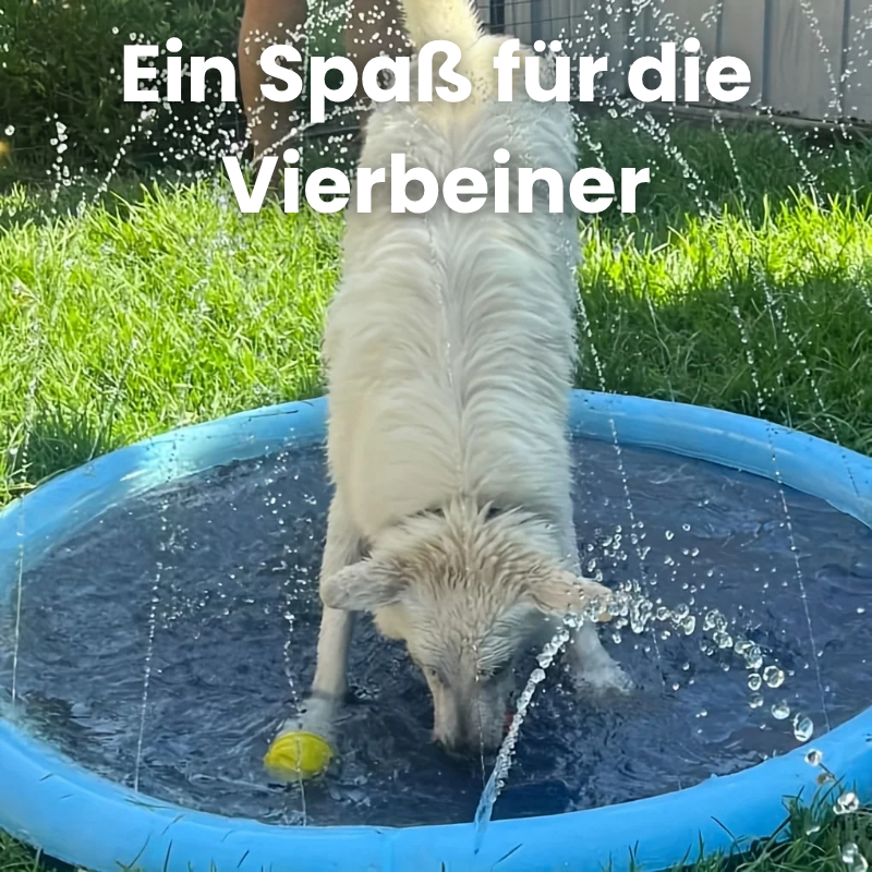 AquaPaws – Der Hundepool mit Fontäne