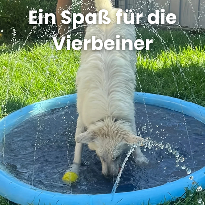 AquaPaws – Der Hundepool mit Fontäne