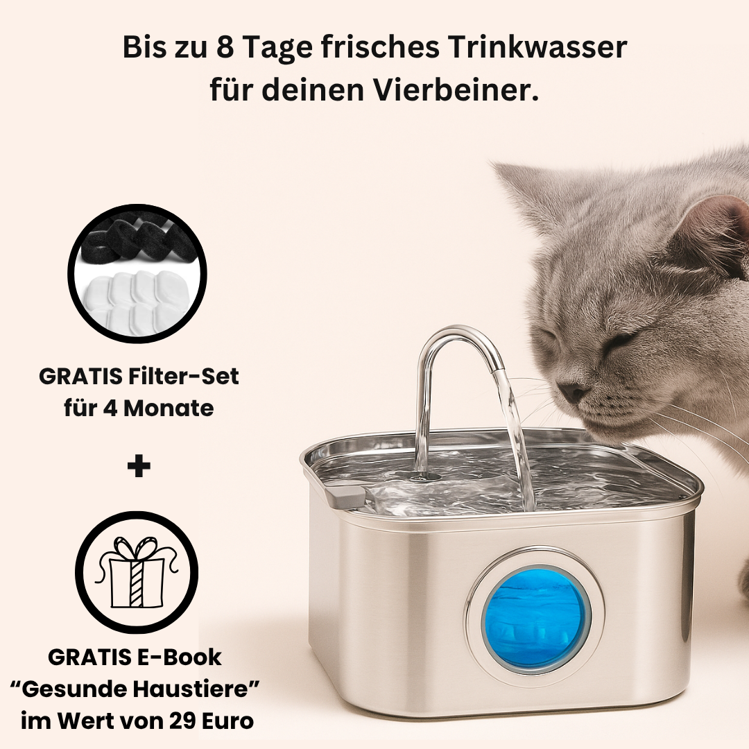 HydroPet – Gewinner des PetCare Design Awards 2025