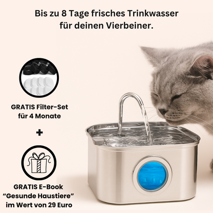HydroPet – Gewinner des PetCare Design Awards 2025